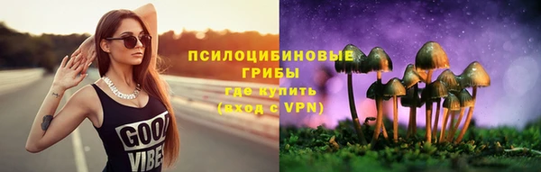 прущий лед Козловка