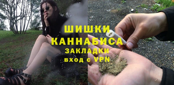 прущий лед Козловка