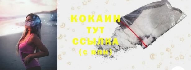 прущий лед Козловка