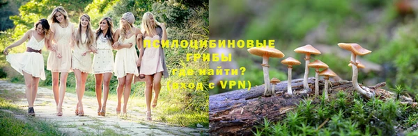 прущий лед Козловка