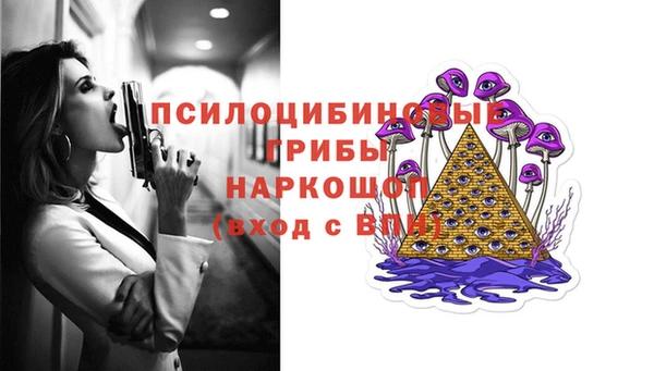 прущий лед Козловка