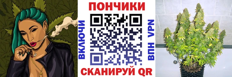 Бошки Шишки VHQ Купить где Зуевка